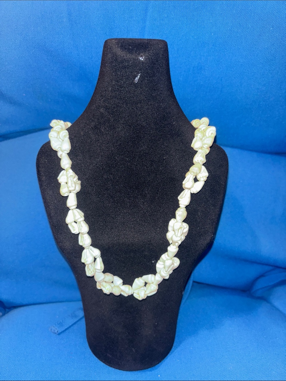 Sea Shell Necklace Colored White Gently Worn NWOTS